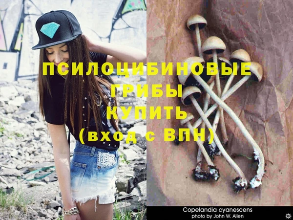 спиды Балабаново