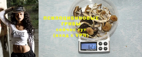 сатива Балахна